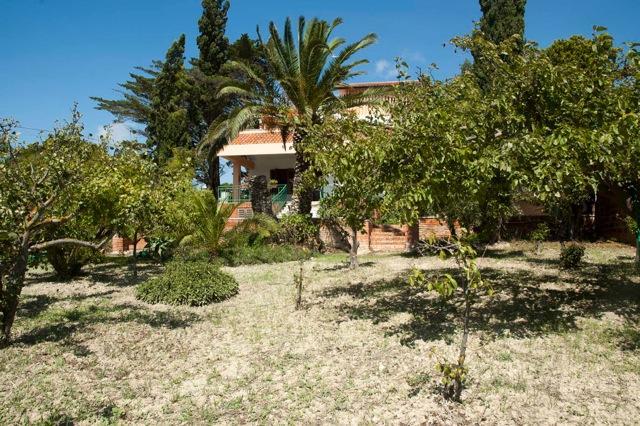 Casa Vacanze Palma Реалмонте Екстериор снимка